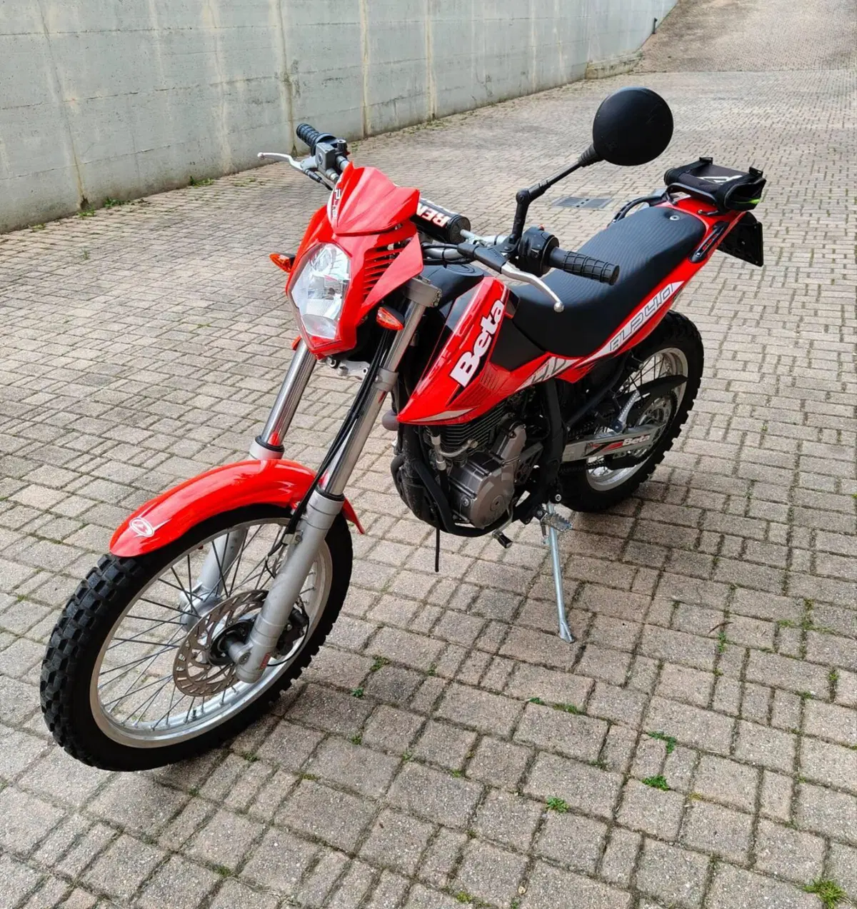 Betamotor Alp 4.0 (2008 - 17) (5)