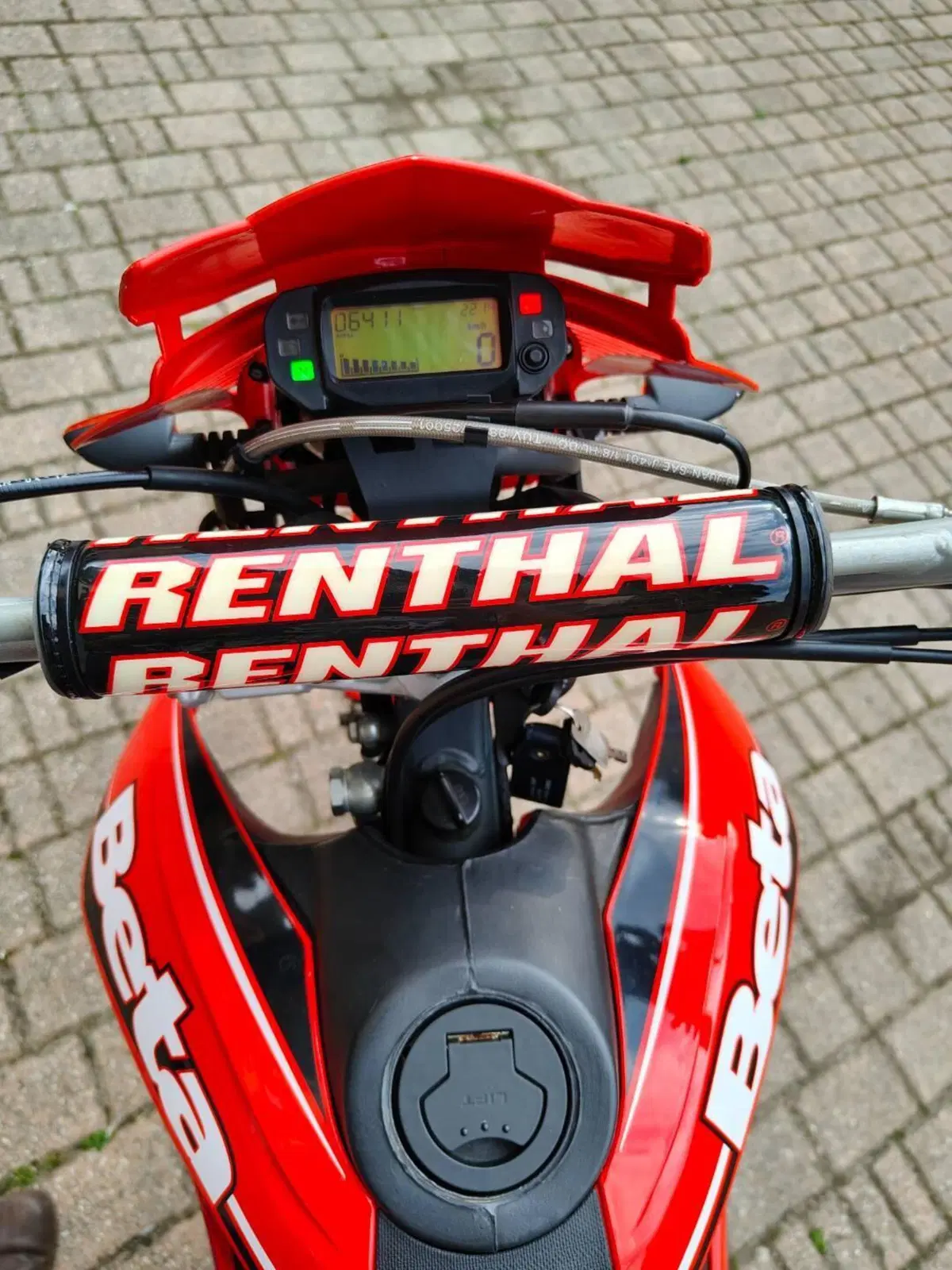 Betamotor Alp 4.0 (2008 - 17) (7)