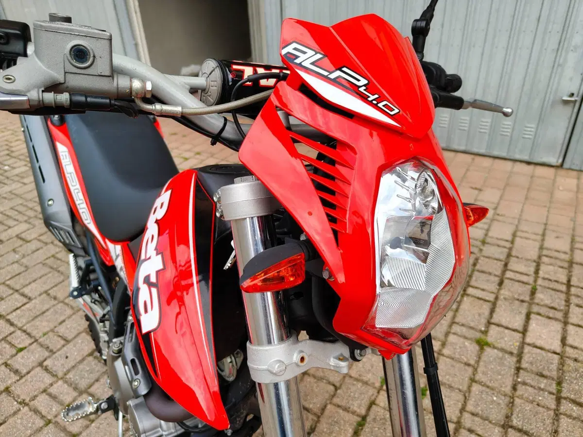 Betamotor Alp 4.0 (2008 - 17) (9)