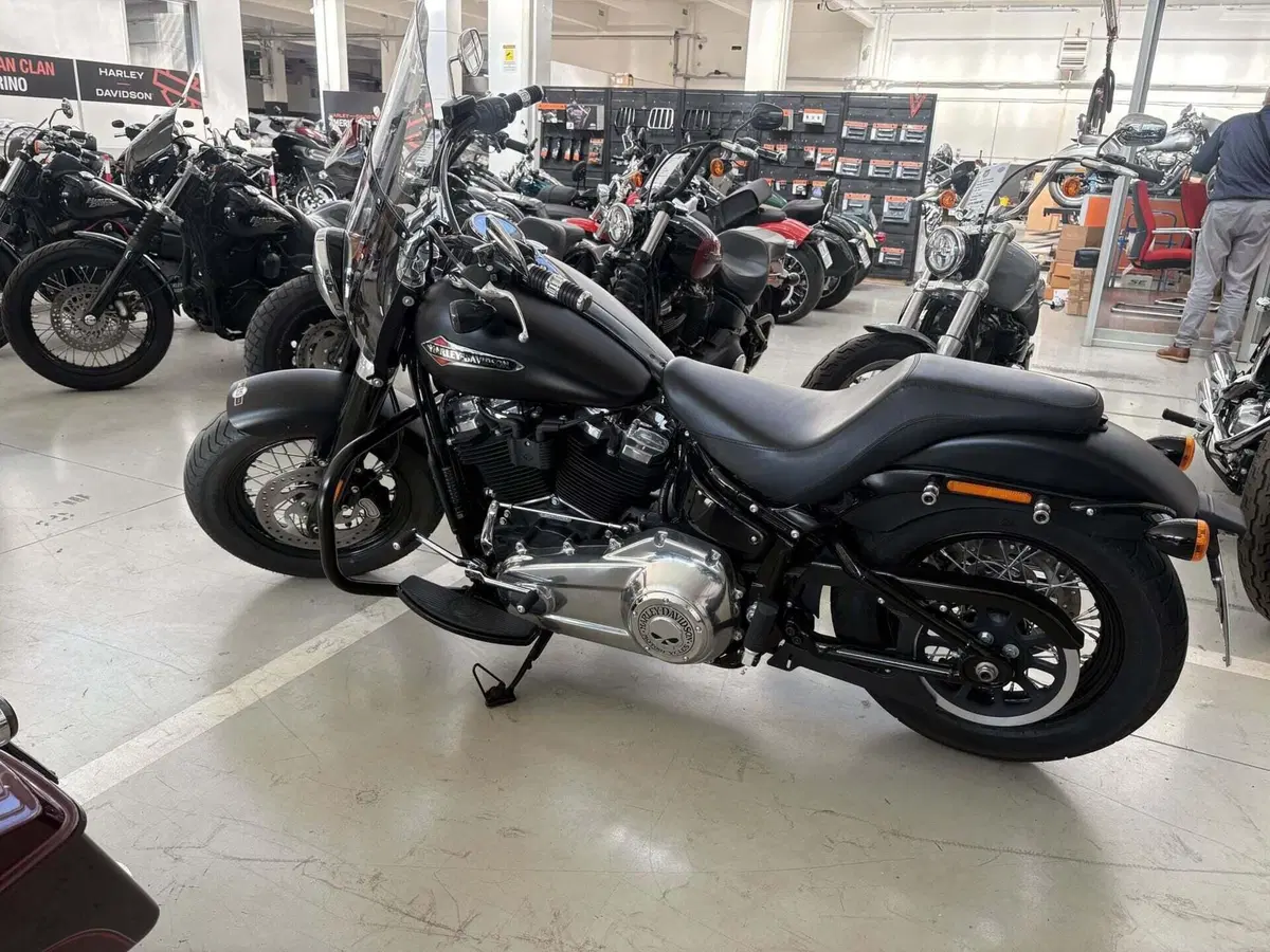 Harley-Davidson 107 Slim (2018 - 20) - FLSL