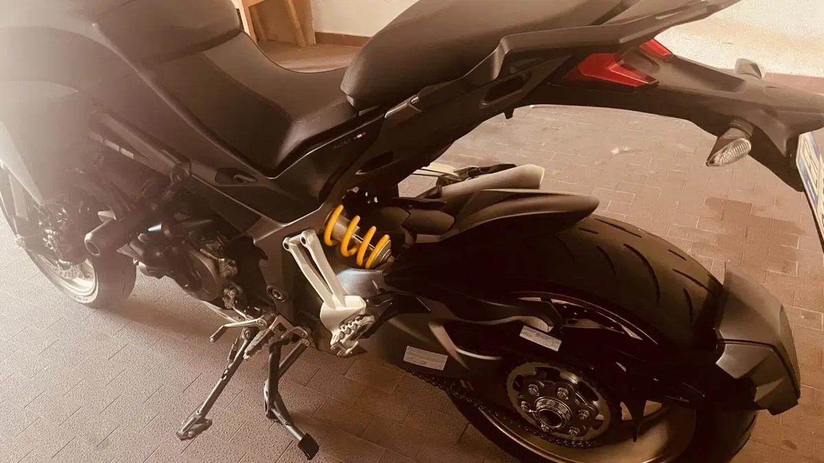 Ducati Multistrada 1260 S (2018 - 20) (17)
