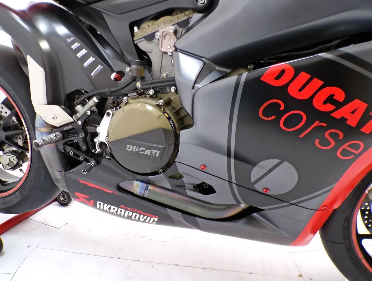 Ducati 1299 Panigale S (2015 - 18) (10)