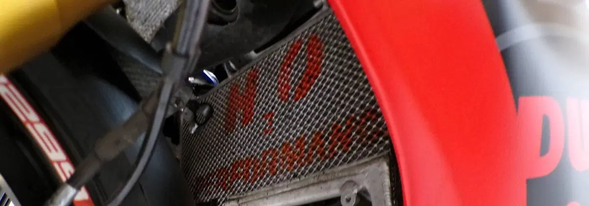 Ducati 1299 Panigale S (2015 - 18) (15)