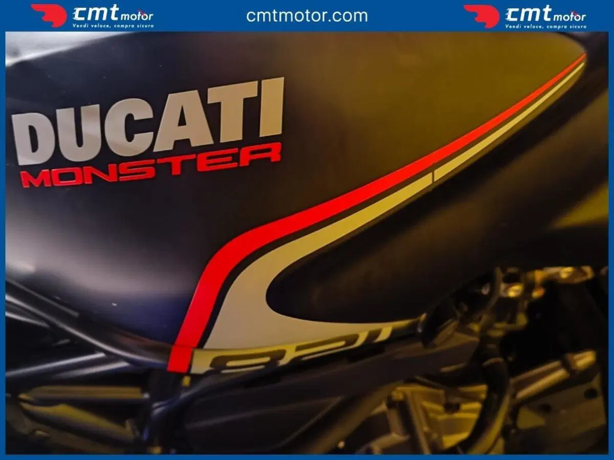 Ducati Monster 821 Stealth (2019 - 20) (7)
