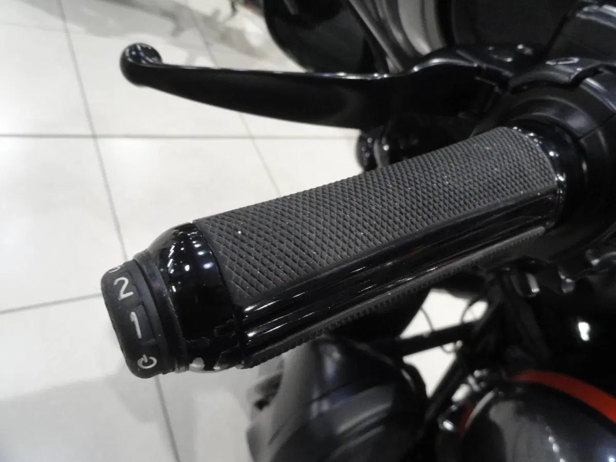 Harley-Davidson 117 Street Glide (2018 - 20) - FLHXSE (15)