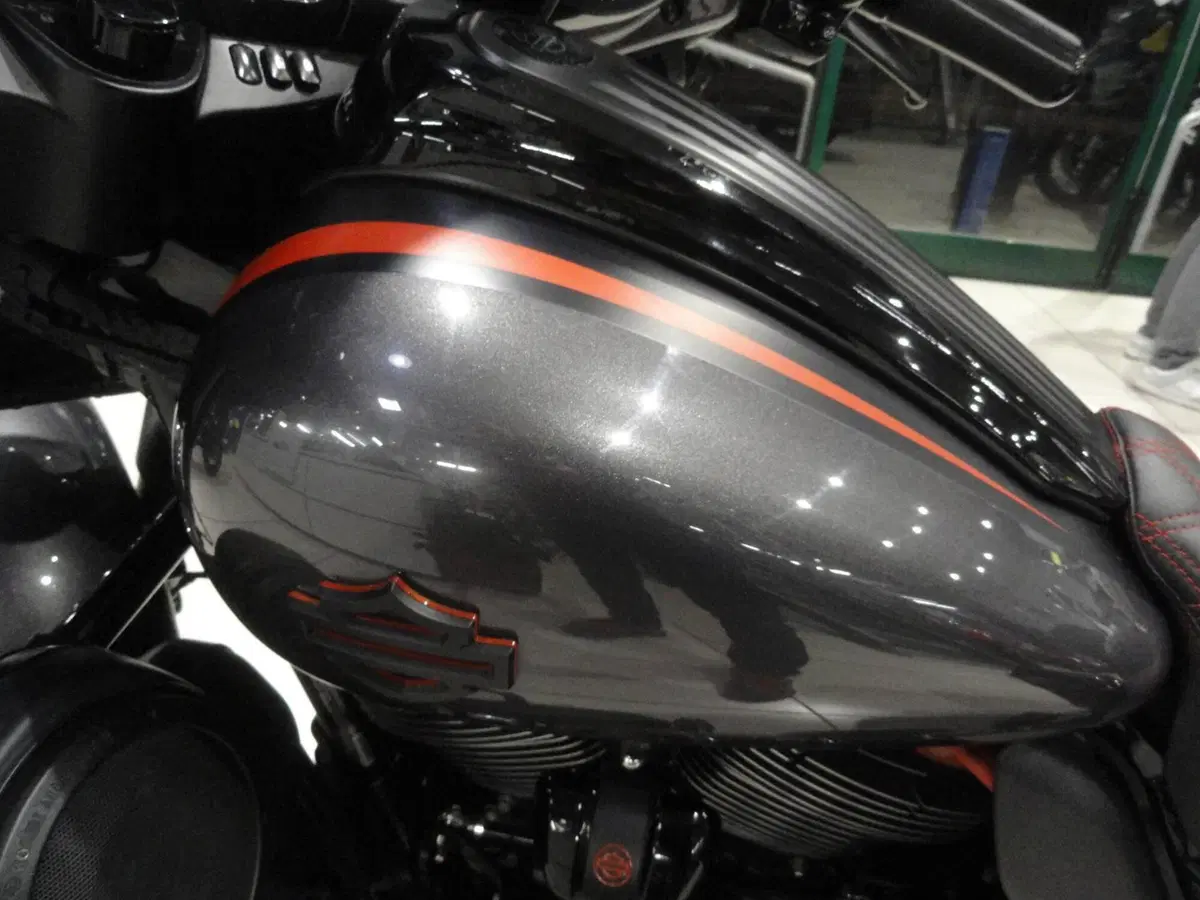 Harley-Davidson 117 Street Glide (2018 - 20) - FLHXSE (16)
