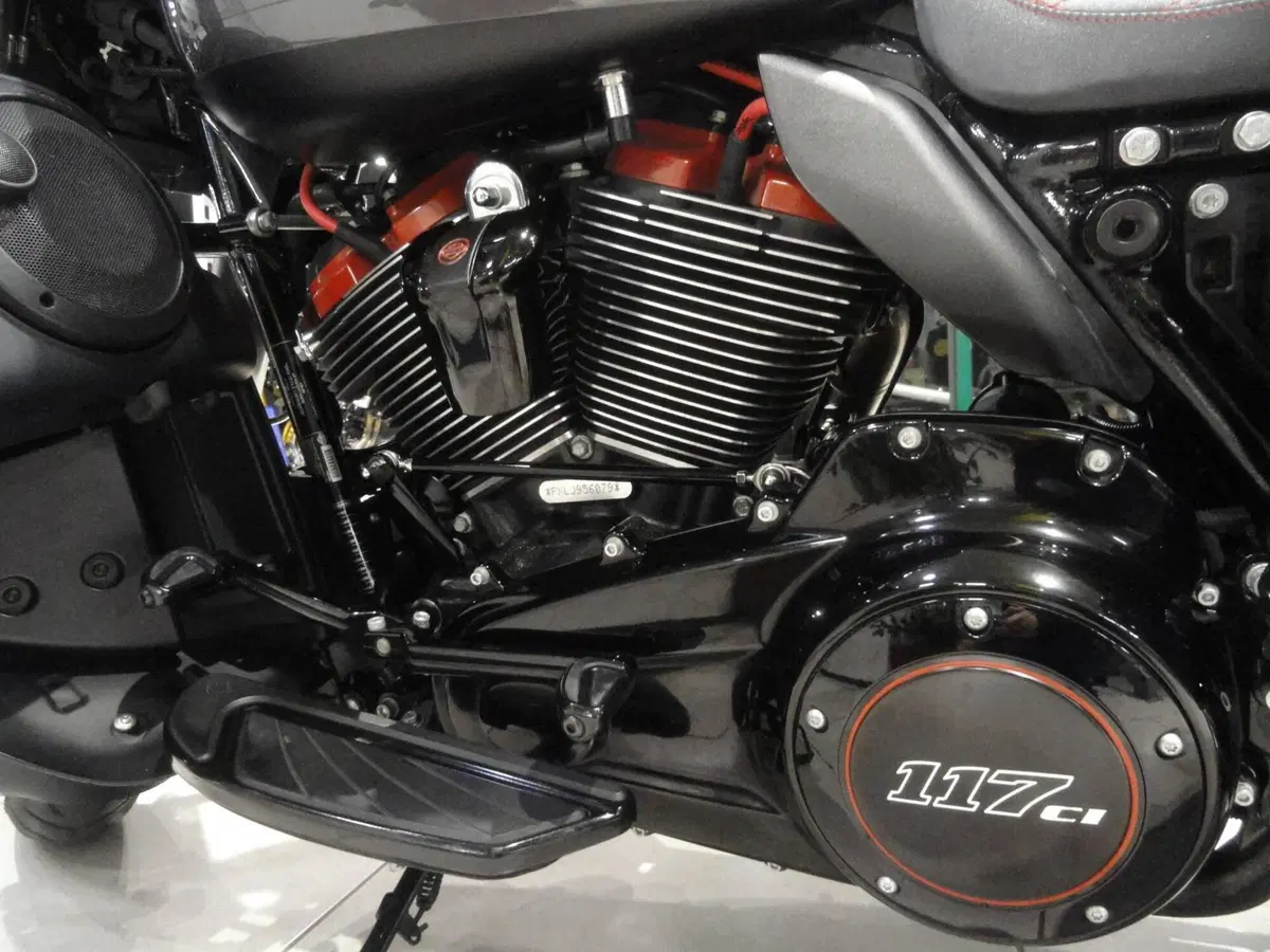 Harley-Davidson 117 Street Glide (2018 - 20) - FLHXSE (18)