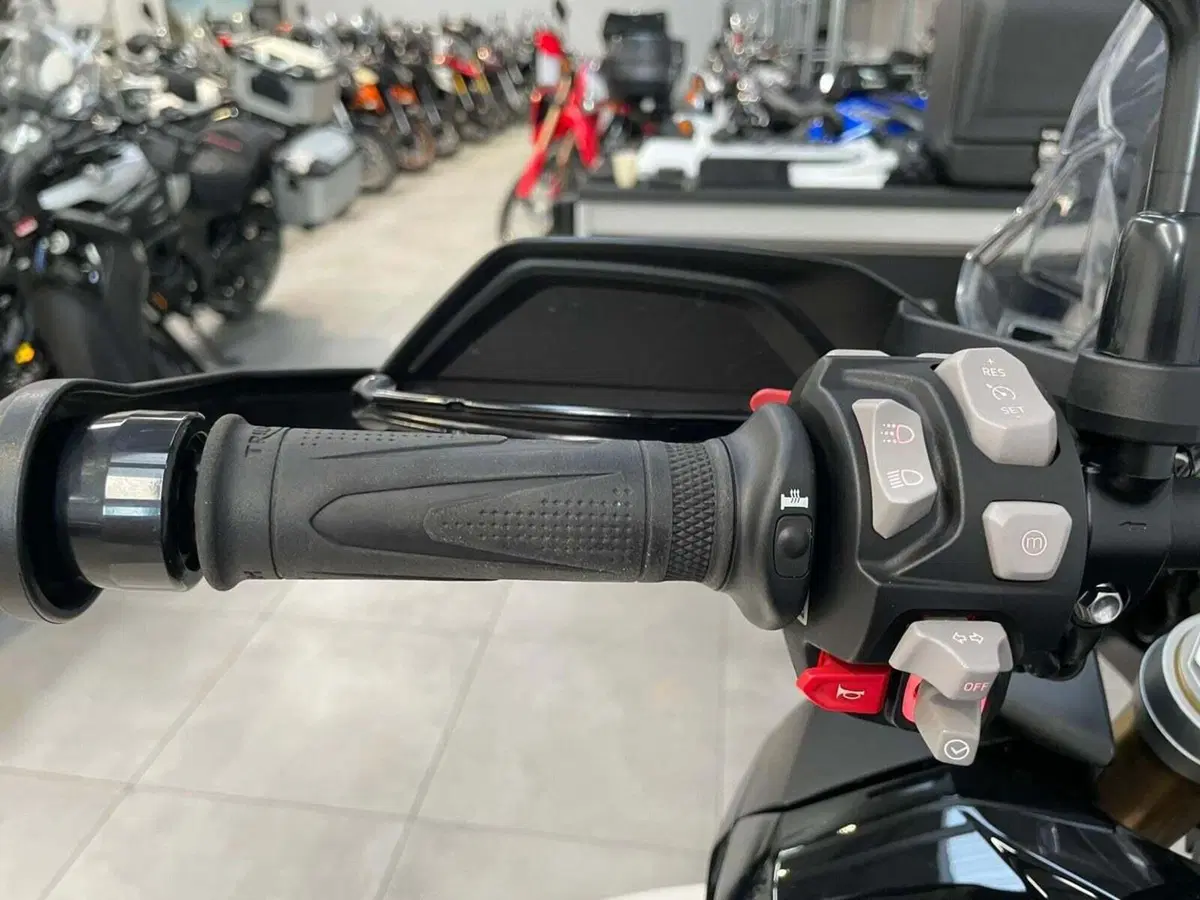 Triumph Tiger 1200 Rally Pro (2022 - 23) (15)