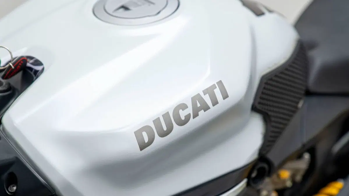 Ducati 959 Panigale (2016 - 19) (11)