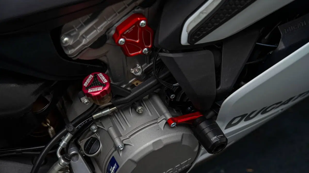 Ducati 959 Panigale (2016 - 19) (17)