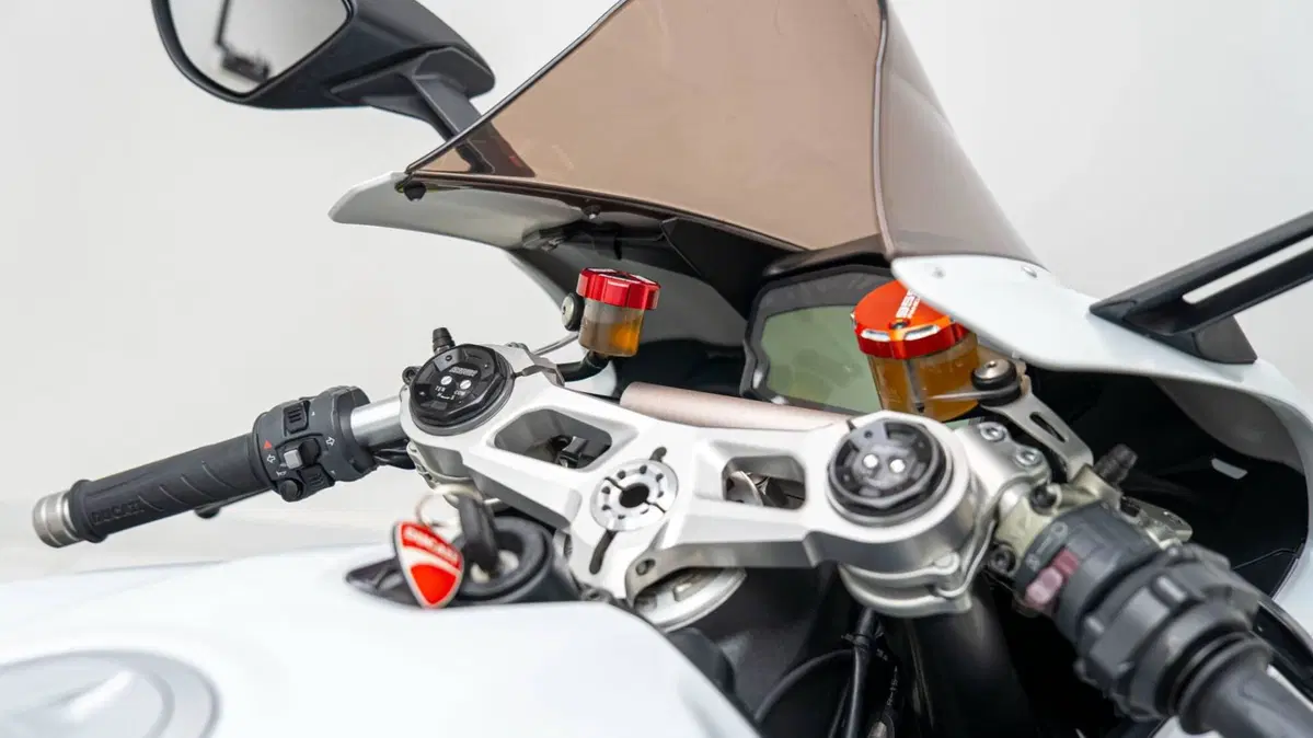 Ducati 959 Panigale (2016 - 19) (18)