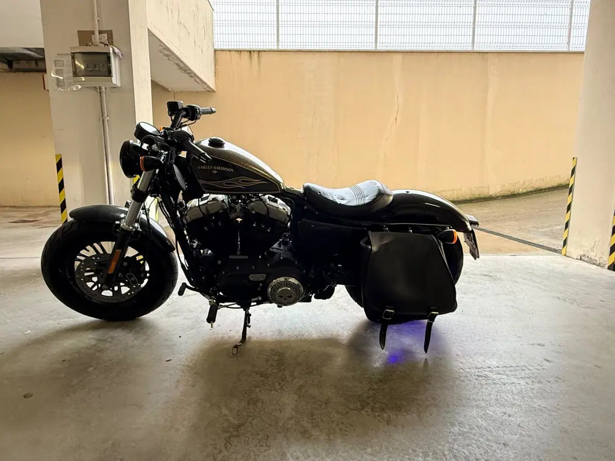 Harley-Davidson 1200 Forty-Eight (2016 - 20) (6)