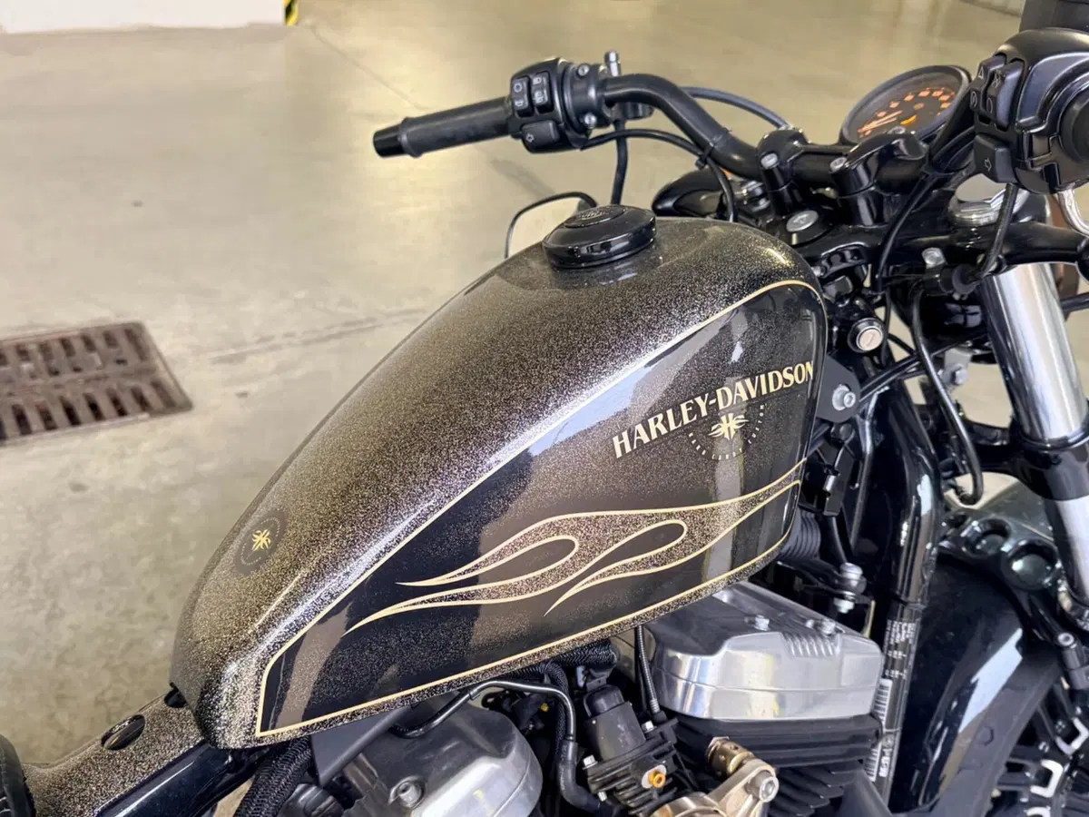 Harley-Davidson 1200 Forty-Eight (2016 - 20) (7)