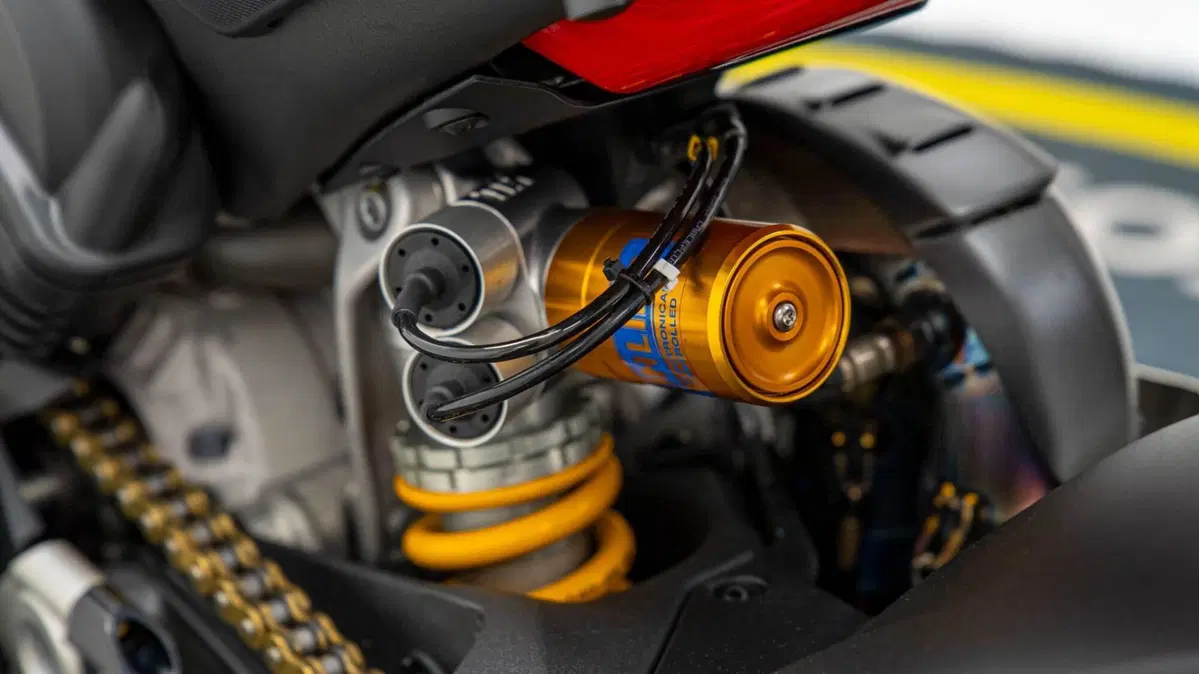 Ducati Panigale V4 S 1100 (2021) (16)