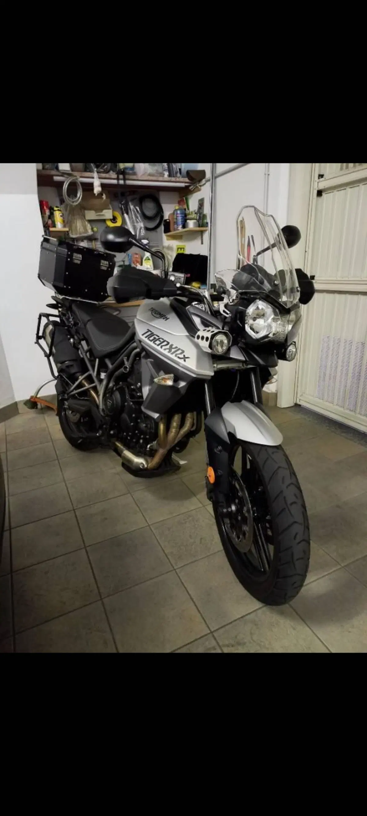 Triumph Tiger 800 XRx (2017 - 18) (2)