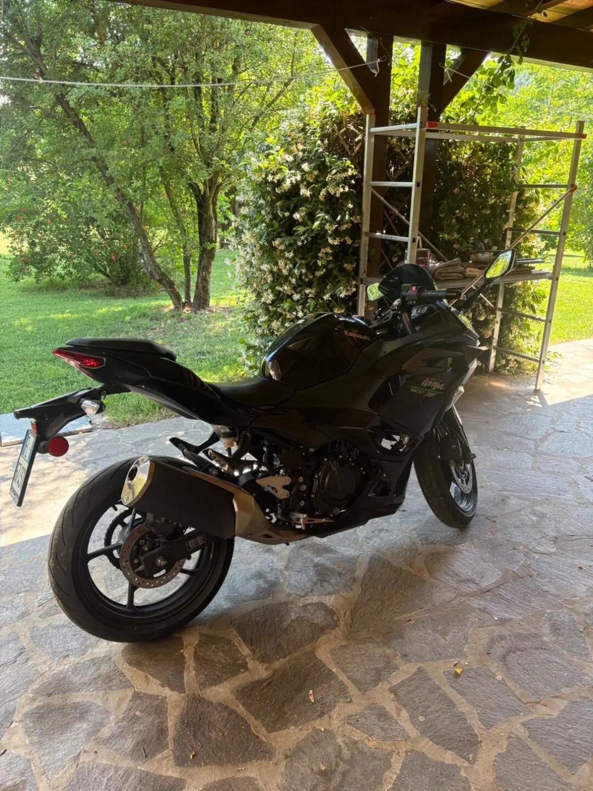 Kawasaki Ninja 500 (2024 - 26) (4)