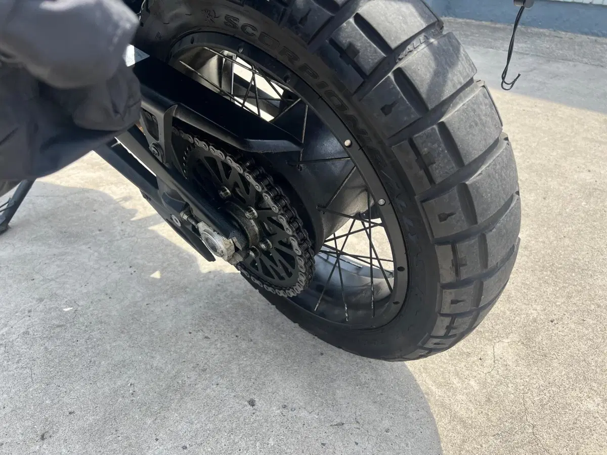 Ducati DesertX (2022 - 25) (17)