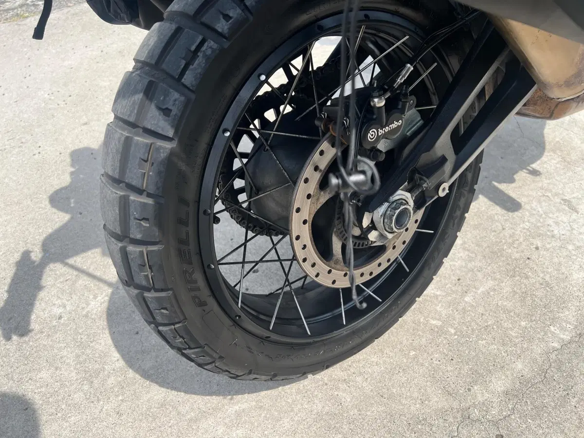 Ducati DesertX (2022 - 25) (18)