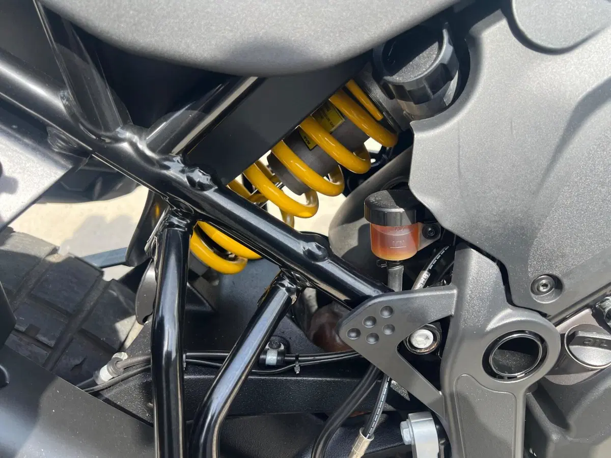 Ducati DesertX (2022 - 25) (16)