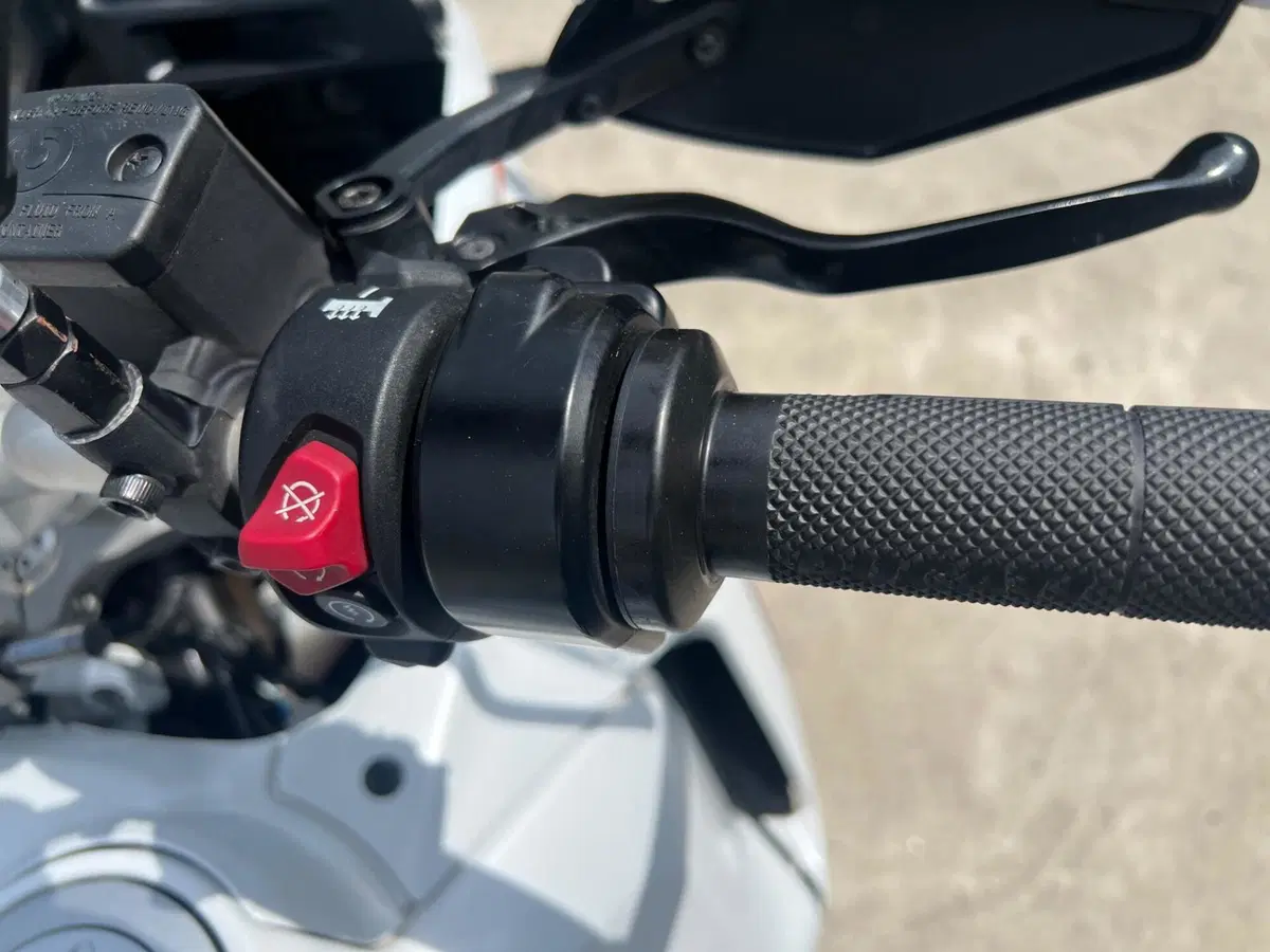 Ducati DesertX (2022 - 25) (12)