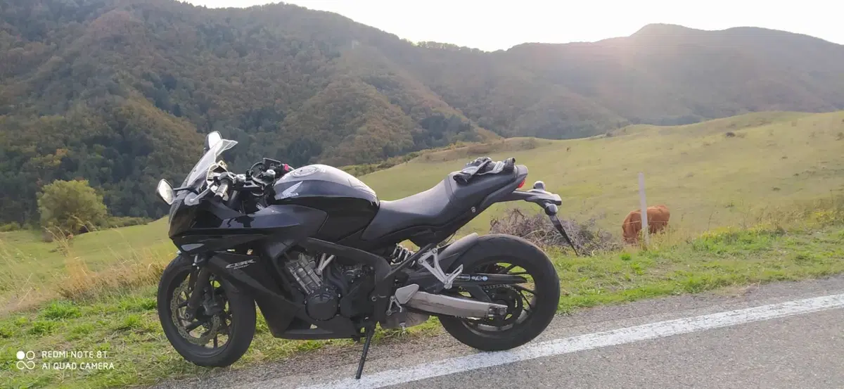 Honda CBR 650 F ABS (2014 - 17) (8)