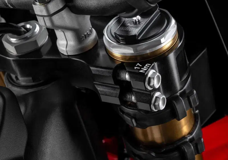 Ducati Desmo450 MX Desmo450 MX Factory (2026) (19)