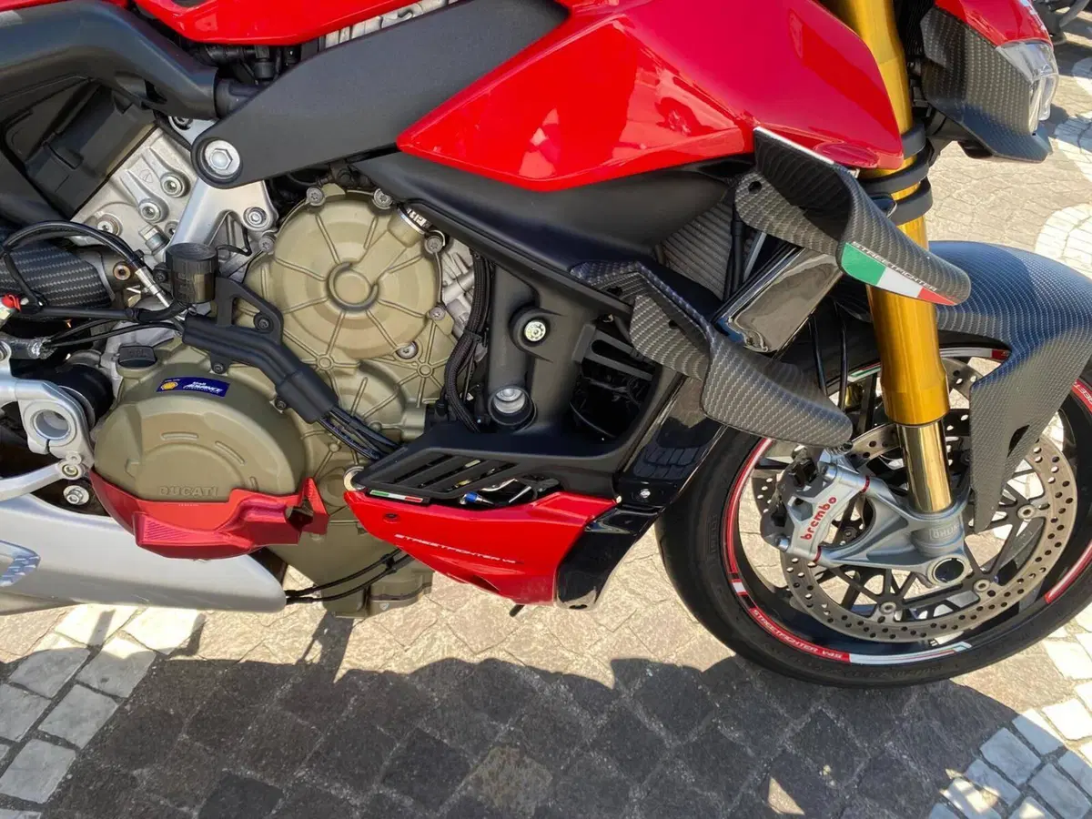 Ducati Streetfighter V4 1100 S (2020) (6)