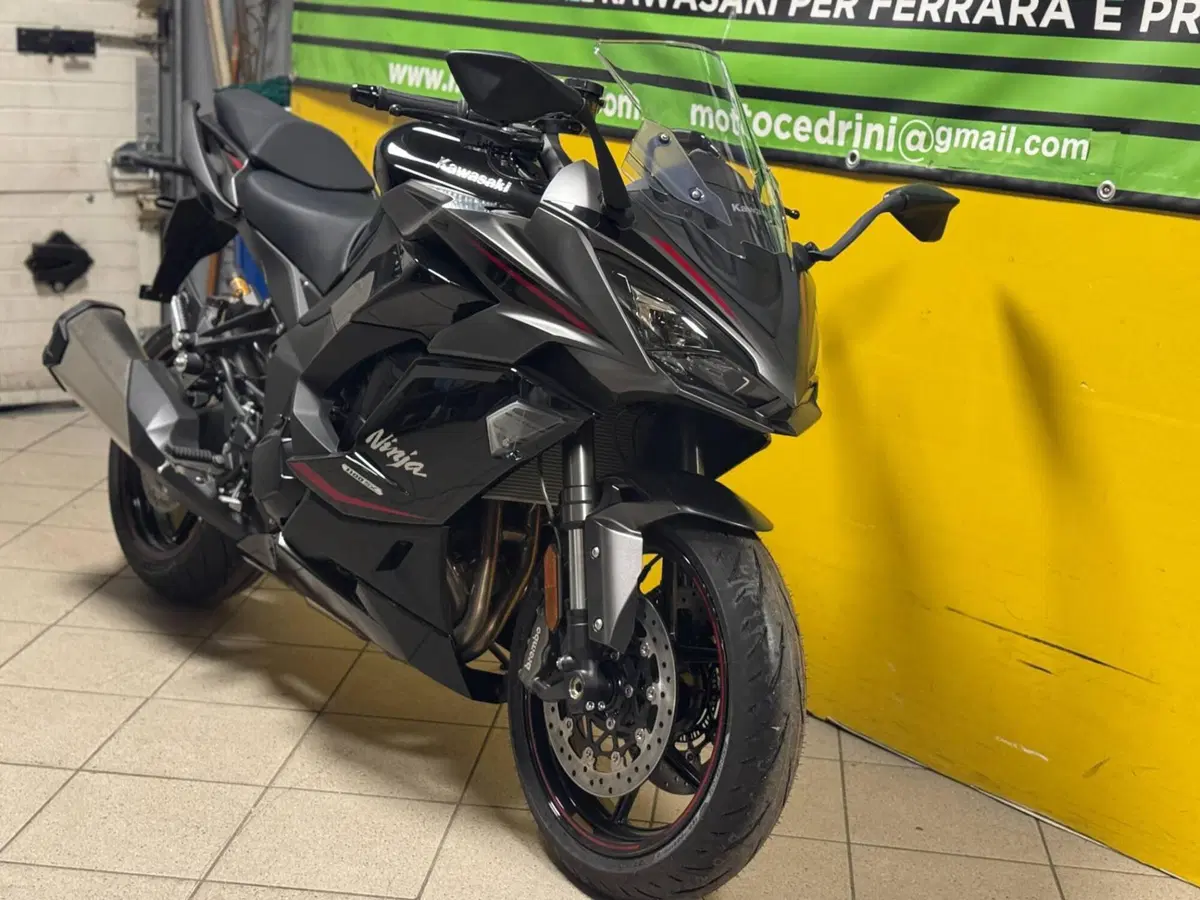 Kawasaki Ninja 1100 SX SE Tourer (2025 - 26) (4)