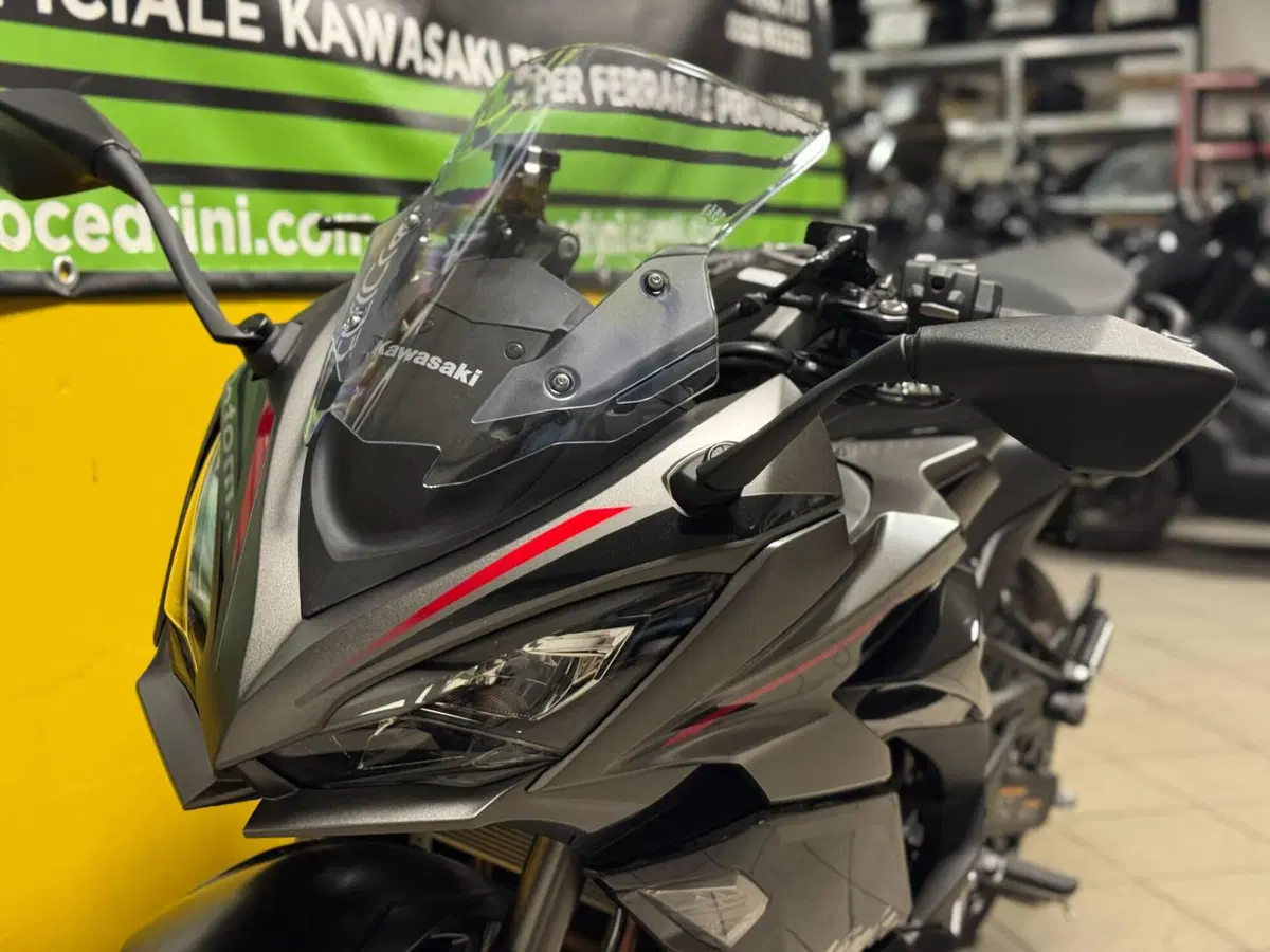 Kawasaki Ninja 1100 SX SE Tourer (2025 - 26) (10)