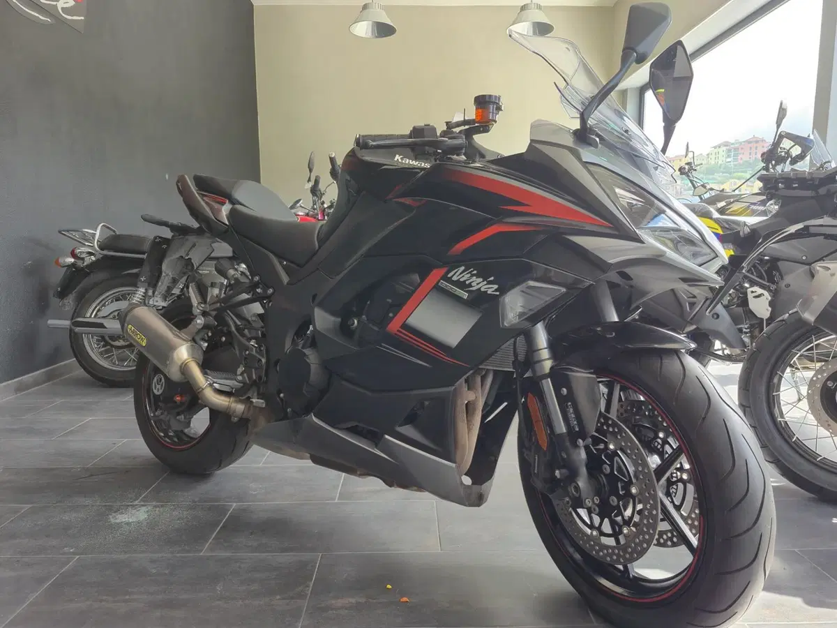 Kawasaki Ninja 1000 SX (2021 - 24)