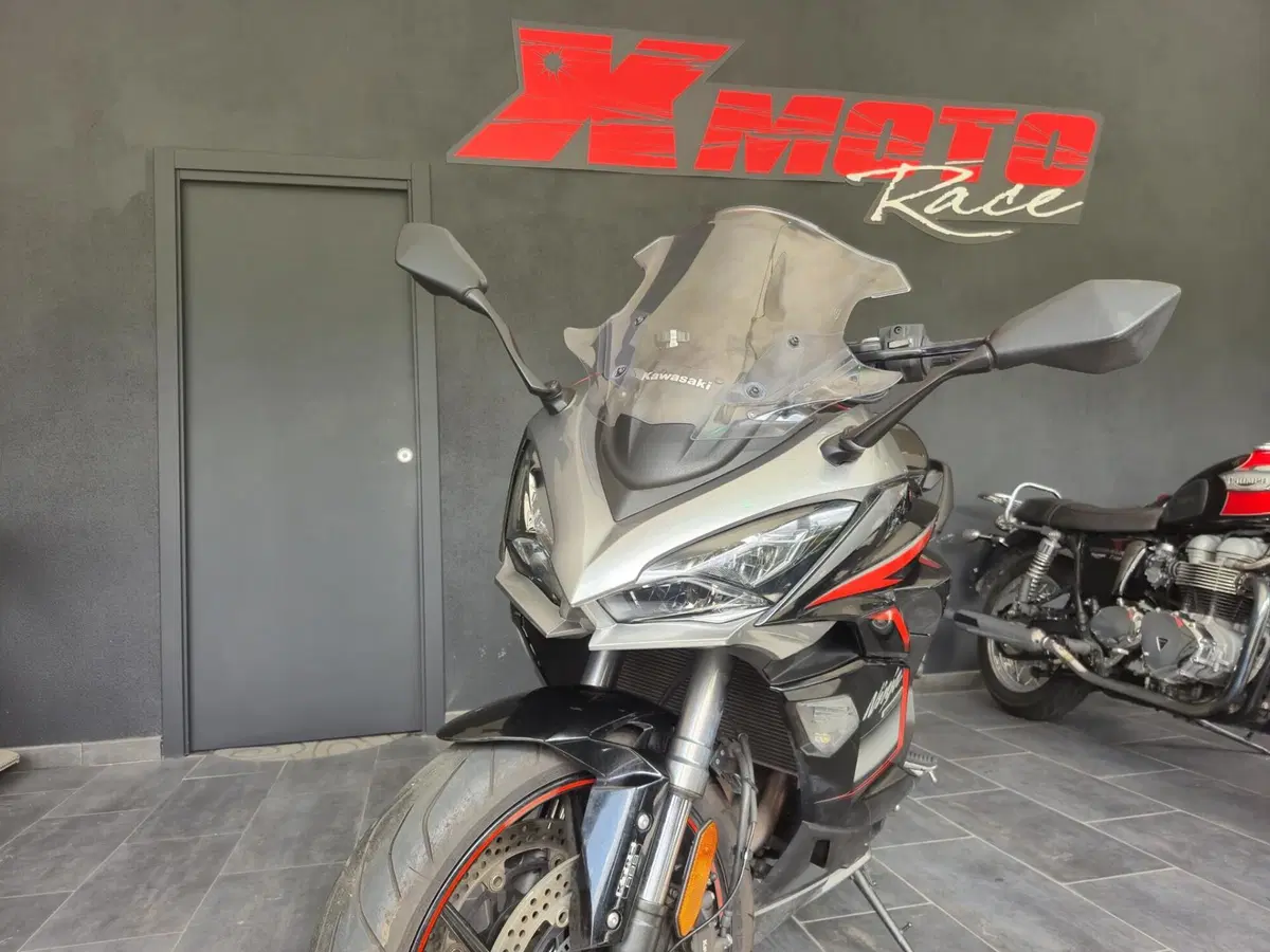 Kawasaki Ninja 1000 SX (2021 - 24) (2)