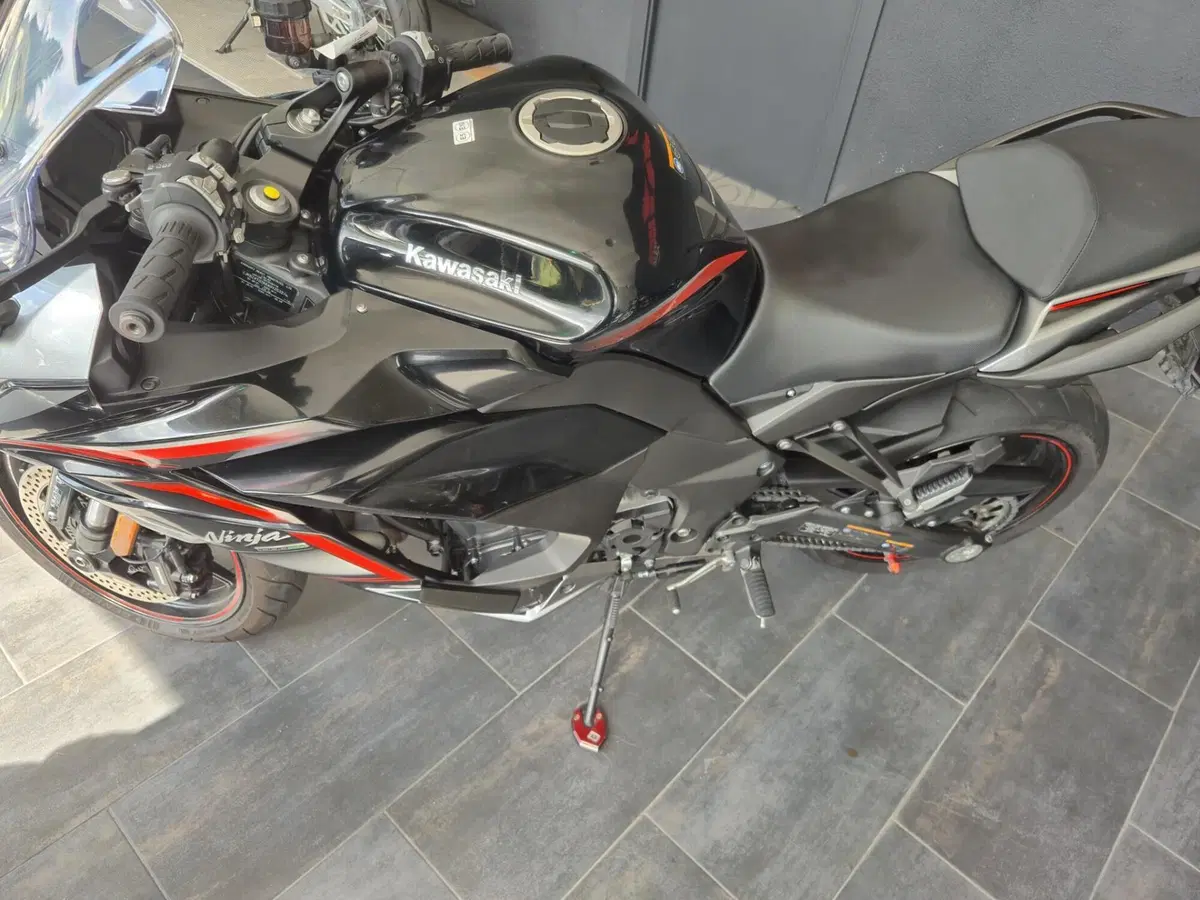 Kawasaki Ninja 1000 SX (2021 - 24) (3)