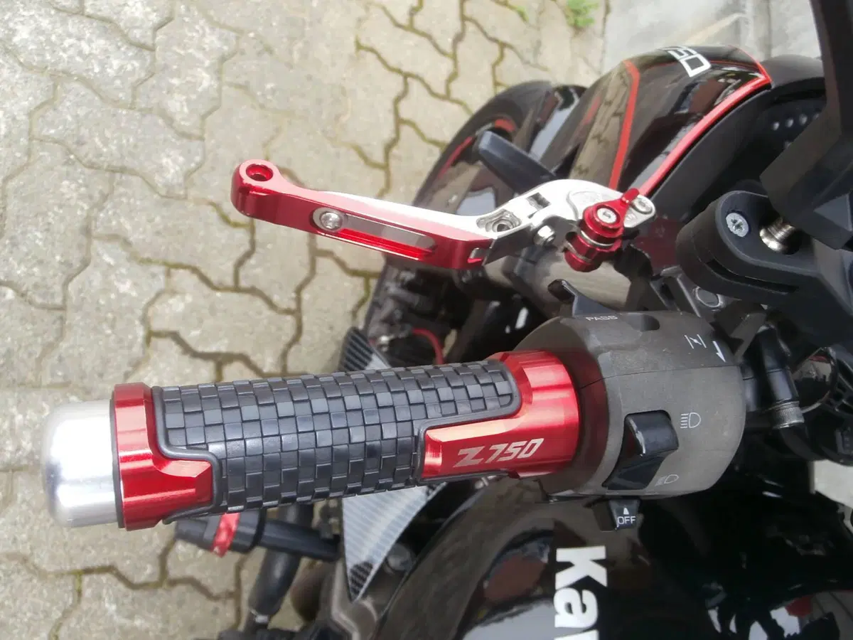 Kawasaki Z 750 (2003 - 06) (17)