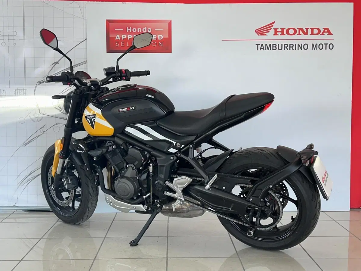 Triumph Trident 660 (2025) (4)