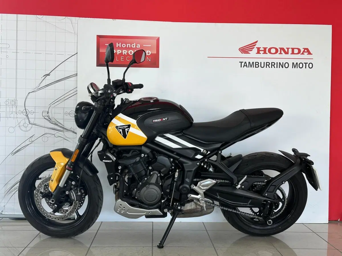 Triumph Trident 660 (2025) (2)