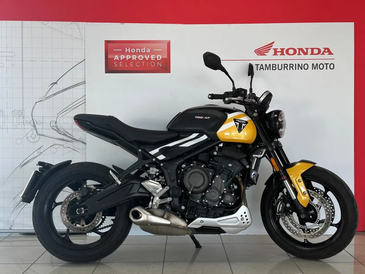 Triumph Trident 660 (2025) (3)