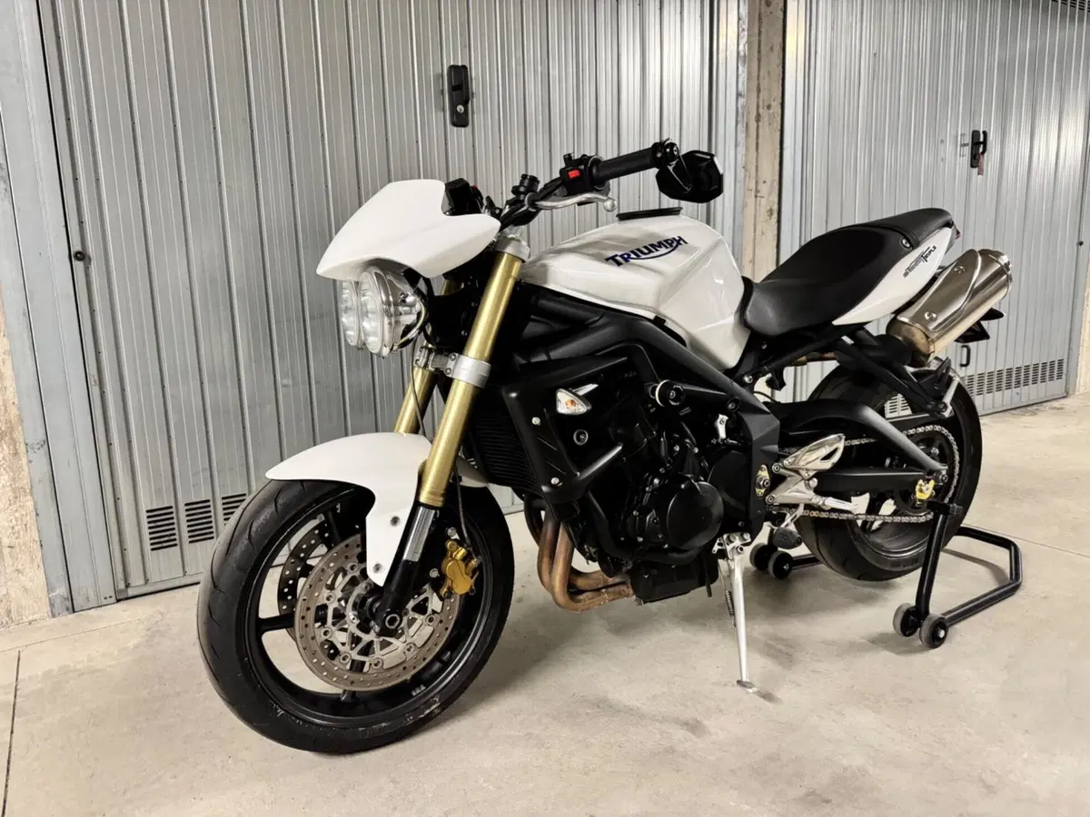 Triumph Street Triple (2007 - 12) (2)