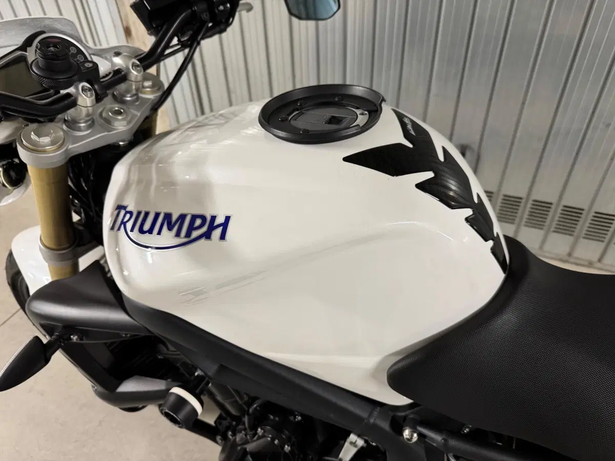 Triumph Street Triple (2007 - 12) (4)