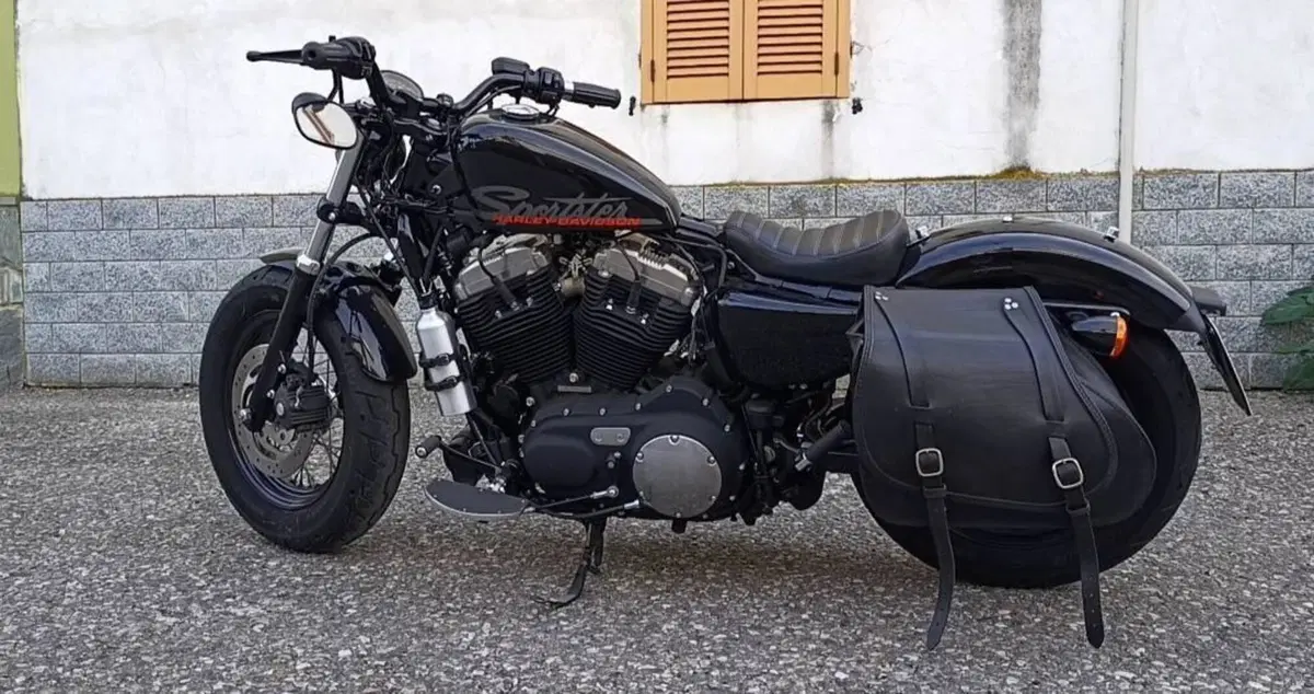Harley-Davidson 1200 Custom (2007 - 13) - XL 1200C (2)