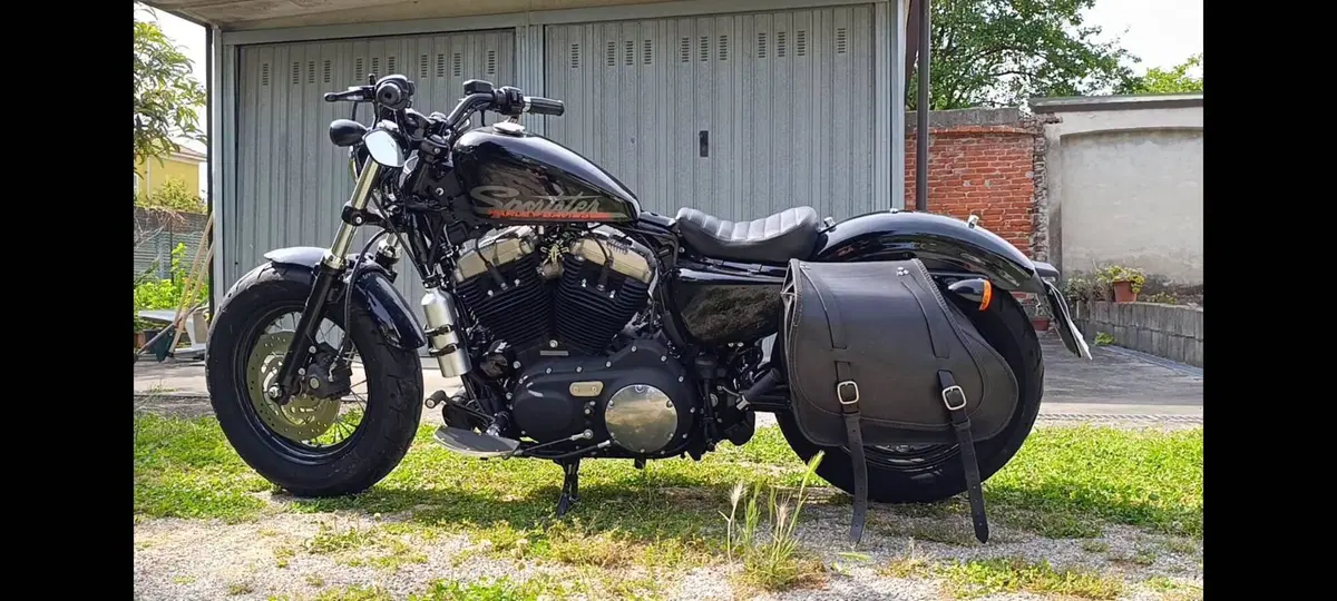 Harley-Davidson 1200 Custom (2007 - 13) - XL 1200C (3)