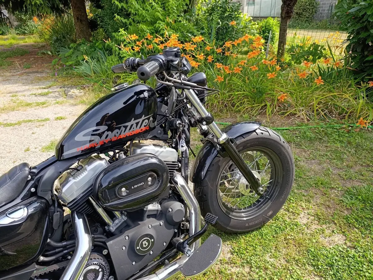 Harley-Davidson 1200 Custom (2007 - 13) - XL 1200C (4)