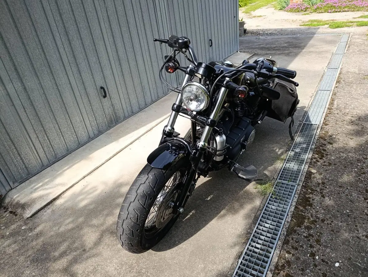 Harley-Davidson 1200 Custom (2007 - 13) - XL 1200C (5)