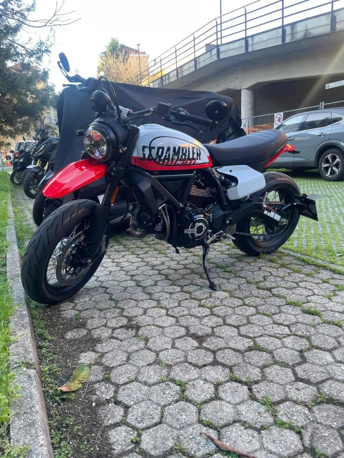 Ducati Scrambler 800 Urban Motard (2022) (4)