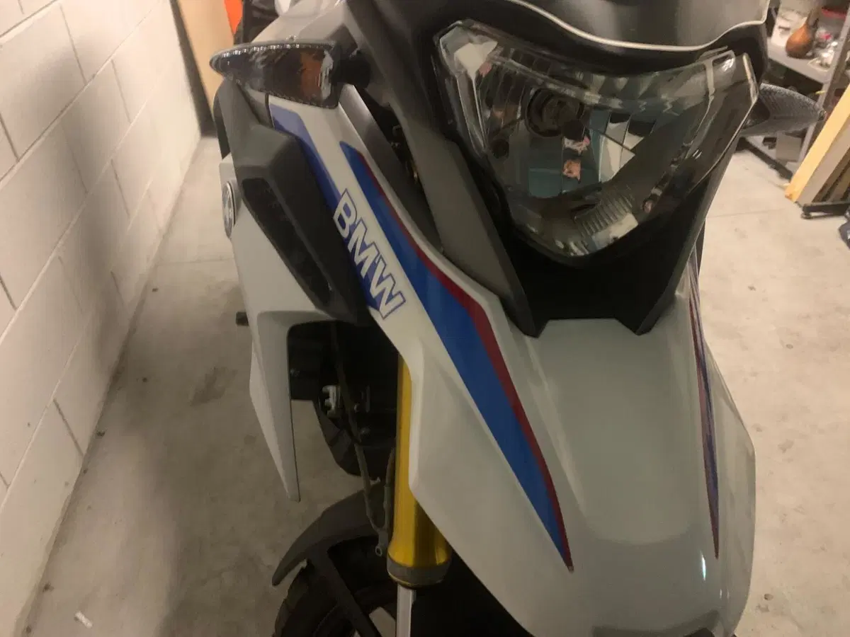 Bmw G 310 GS (2017 - 20) (6)