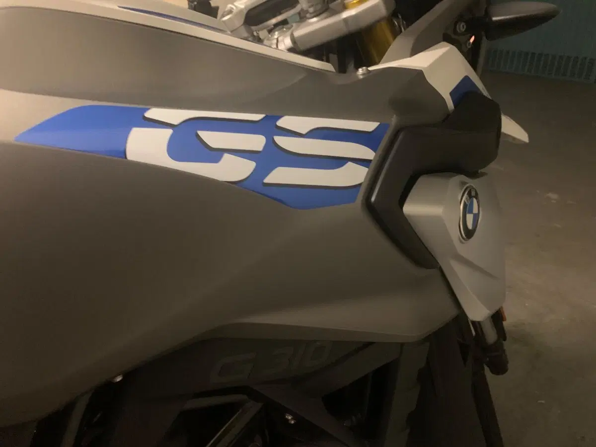 Bmw G 310 GS (2017 - 20) (9)