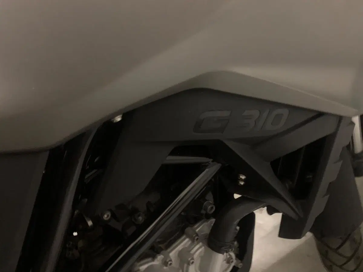 Bmw G 310 GS (2017 - 20) (10)