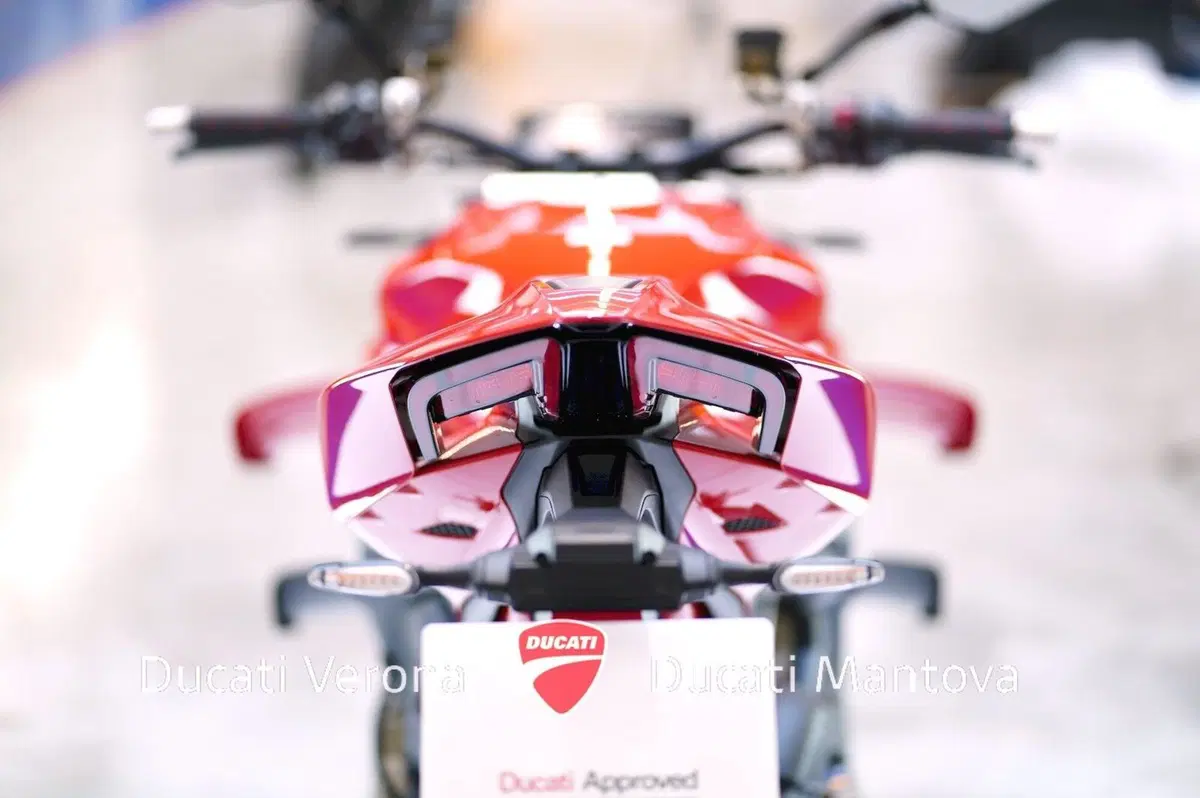 Ducati Streetfighter V4 (2025 - 26) (16)