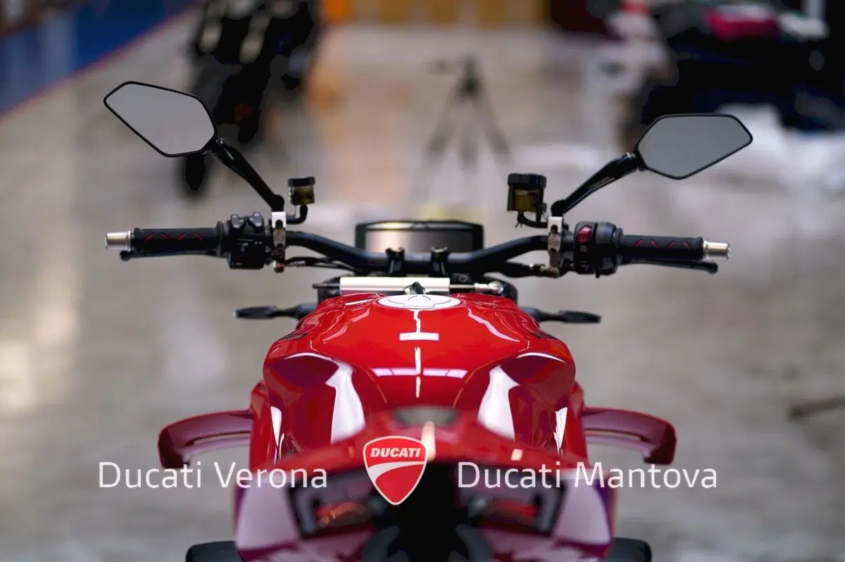 Ducati Streetfighter V4 (2025 - 26) (17)