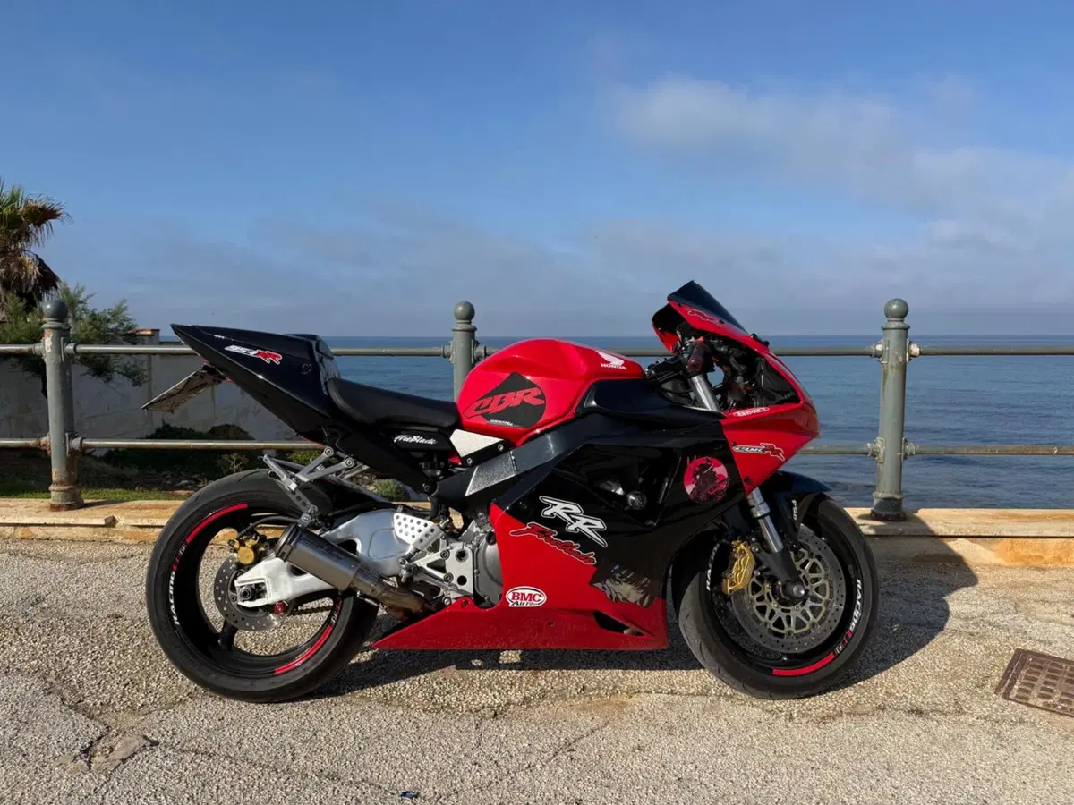 Honda CBR 900 RR Fireblade (2002 - 04) (2)