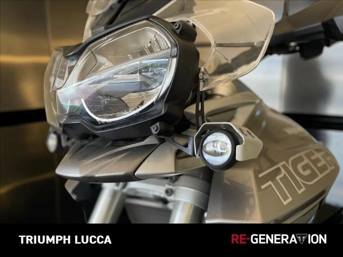 Triumph Tiger 800 XRt (2018 - 20) (10)